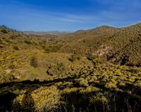 Uusi Rakentaminen - Omakotitalo (chalet) - Las Palas