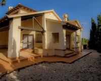 New Build - Chalet - Las Palas