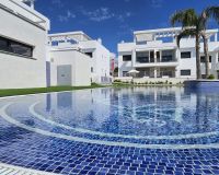 Segunda mano - Apartamento / Piso - Torrevieja - Los Balcones