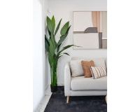 Nueva construcción  - Apartamento / Piso - San Miguel de Salinas