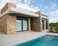 Uusi Rakentaminen - omakotitalo (Villa) - Rojales - Ciudad Quesada