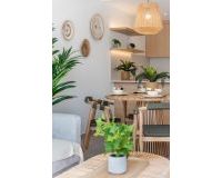 Uusi Rakentaminen - omakotitalo (Villa) - Los Alcázares - Los Alcazares