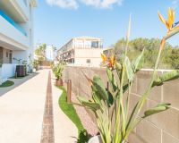 Nýbygging - Apartment/Flat - Orihuela Costa